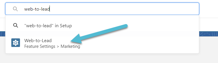 Type “web-to-lead” into the quick find search box and then click on the “Web-to-Lead” page.