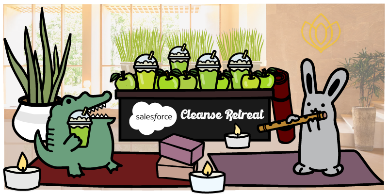  Salesforce Data Cleansing Best Practices
